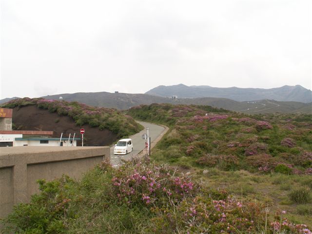 e0069622_21554163.jpg