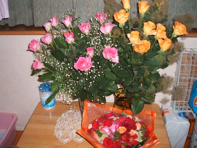 b0052523_8125992.jpg