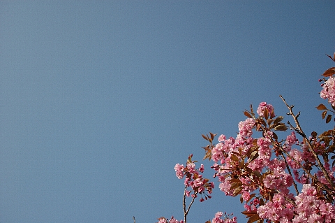e0064128_6114543.jpg