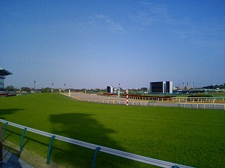 b0009029_9545230.jpg