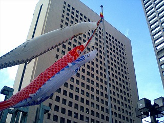 b0009029_95558.jpg