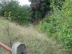 c0056437_13462750.jpg