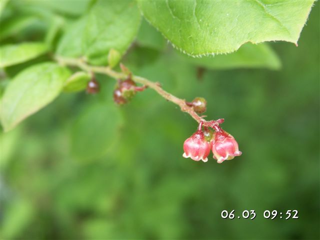 b0102639_2341553.jpg
