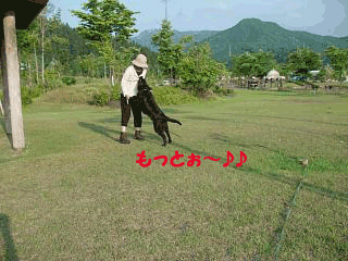 f0018144_22254551.gif