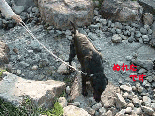 f0018144_22282433.gif