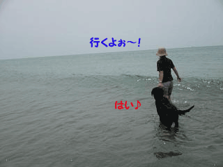 f0018144_22415772.gif