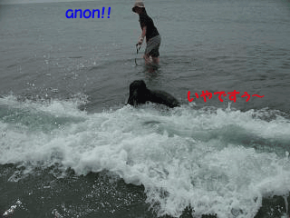 f0018144_22421239.gif