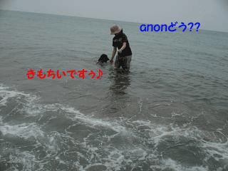 f0018144_22423015.gif