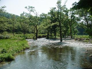 f0018144_2292210.jpg