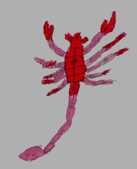 b0025745_1171177.gif