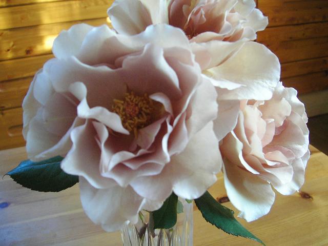 e0029451_5464368.jpg