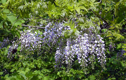 a0001354_19194746.jpg