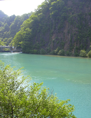 a0001354_1924233.jpg