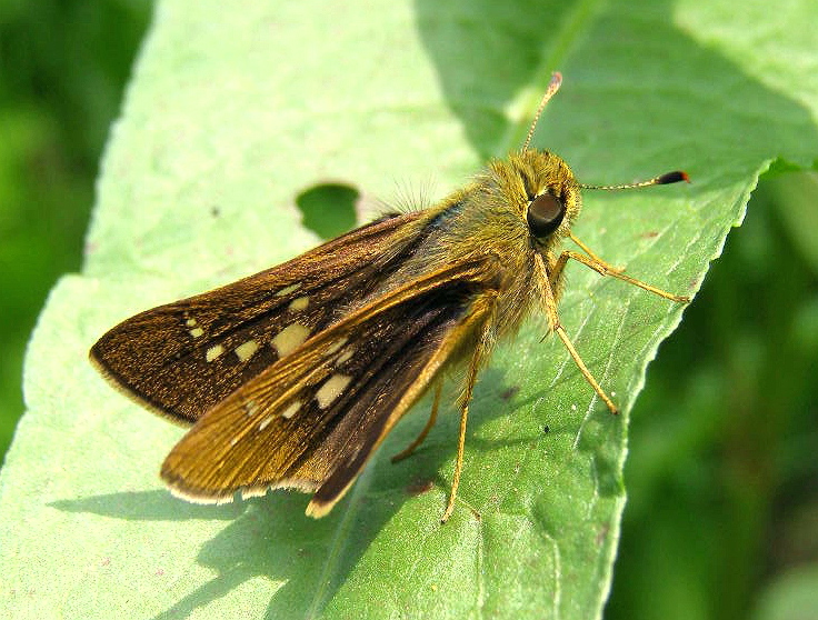 e0064158_0455599.jpg