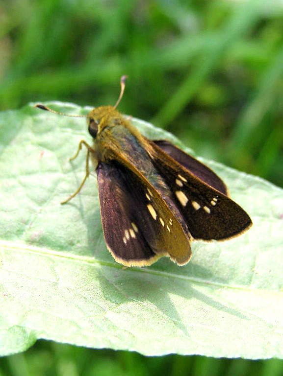 e0064158_0474632.jpg