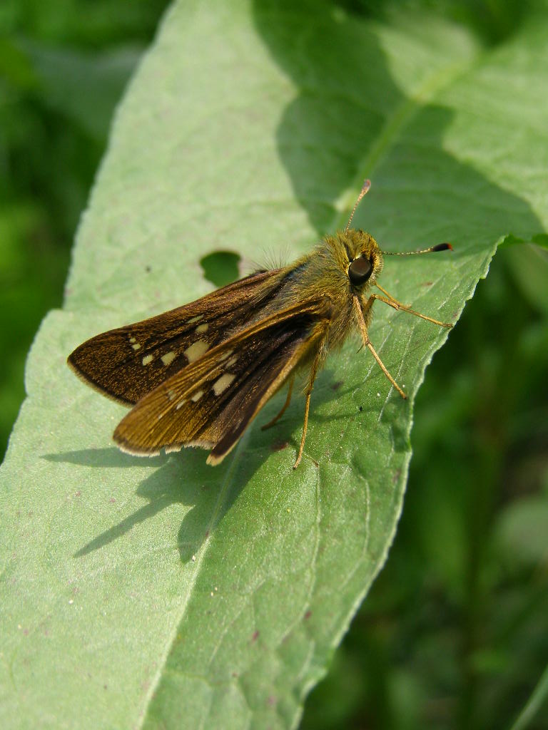 e0064158_0484863.jpg