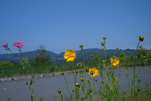 f0104569_053996.jpg
