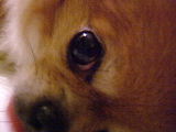 f0052071_14102397.jpg