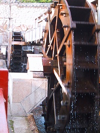 b0073782_923952.jpg