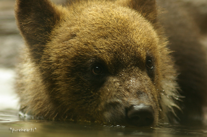 c0052787_2165072.jpg