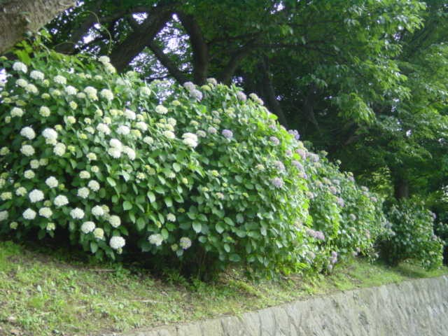 b0083902_23111527.jpg