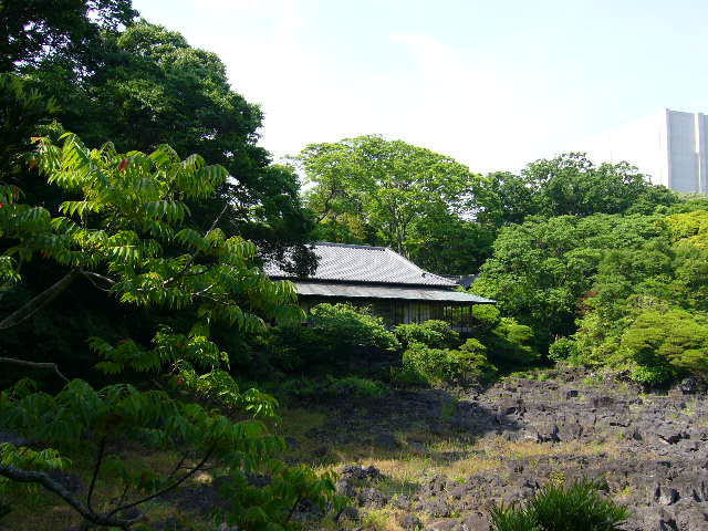 e0015108_321392.jpg