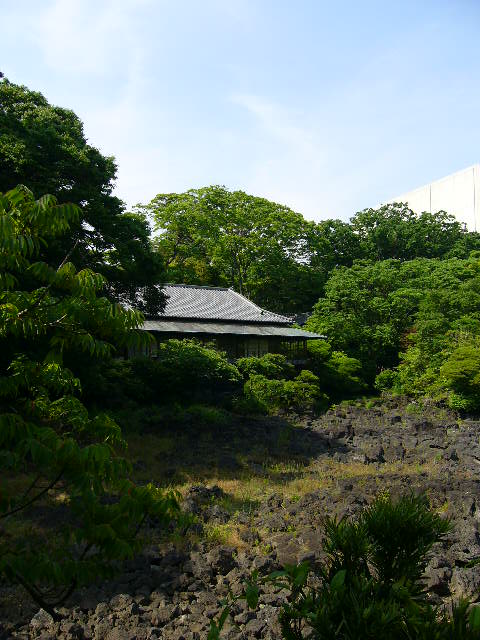 e0015108_3305840.jpg