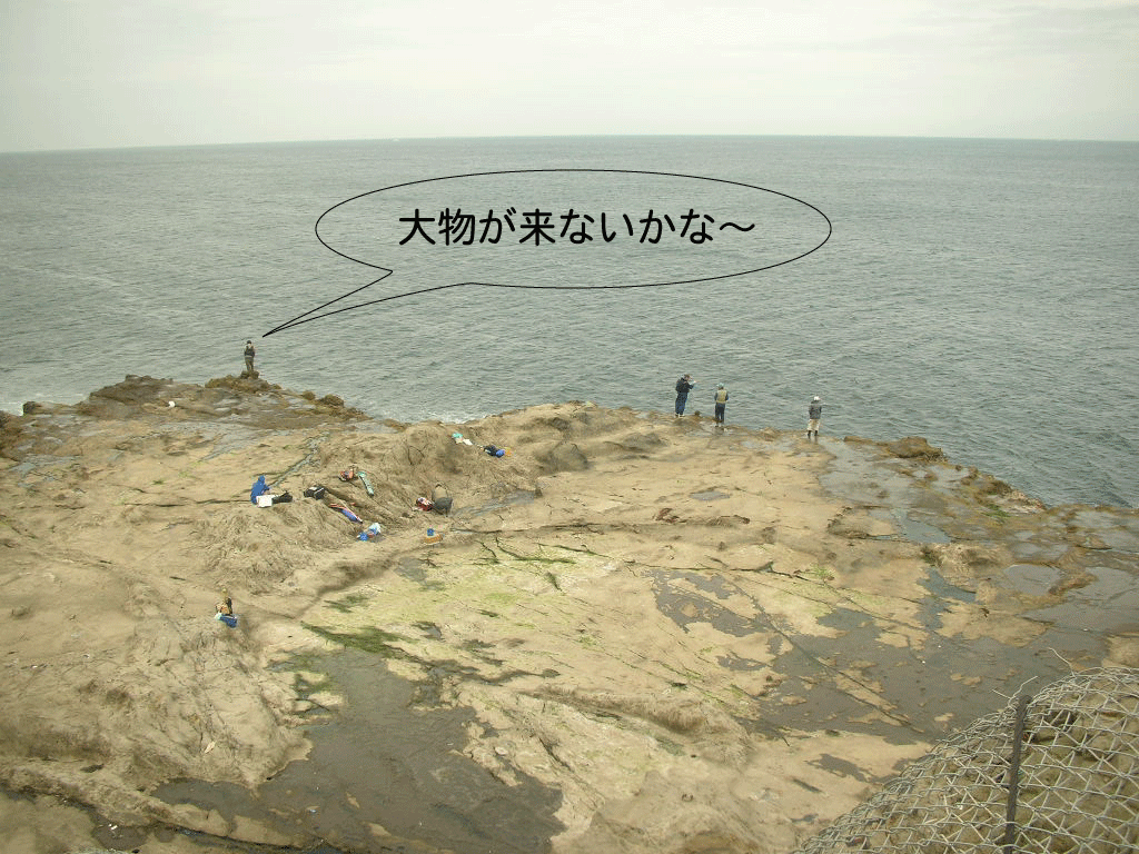 e0066115_1129551.gif