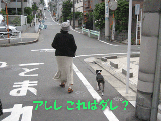 e0080117_22145773.gif