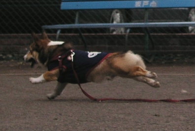 e0071225_111945.jpg