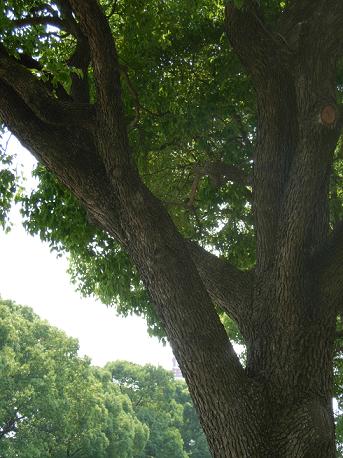 b0089338_0171511.jpg