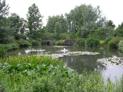 f0072846_1192314.jpg