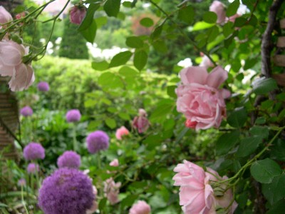 f0072846_165751.jpg