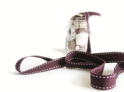 c0025852_14554925.gif