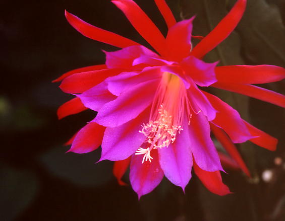 b0083855_044588.jpg