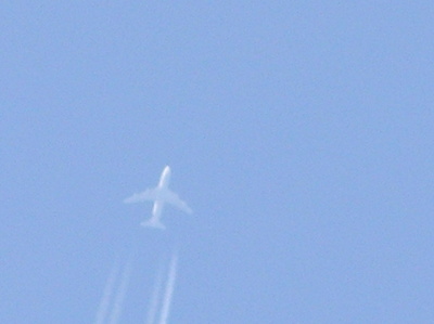 d0042157_2195717.jpg