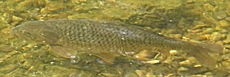 b0093678_2343022.jpg