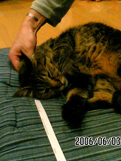 a0056686_9132897.jpg