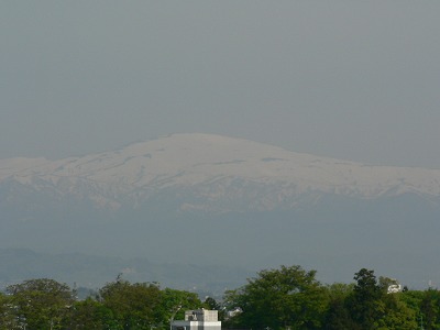d0009689_2359852.jpg