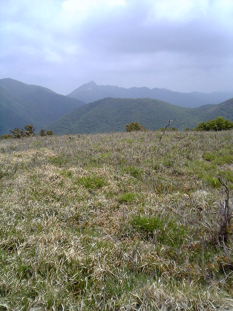 d0054692_19421712.jpg
