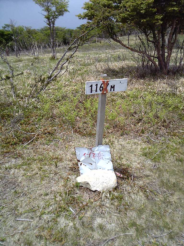 d0054692_194237.jpg