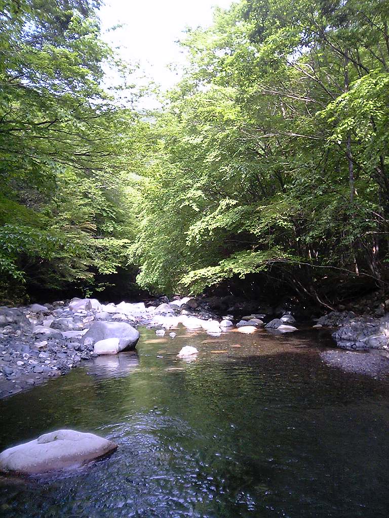 d0054692_1948956.jpg