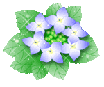 d0033894_16172863.gif