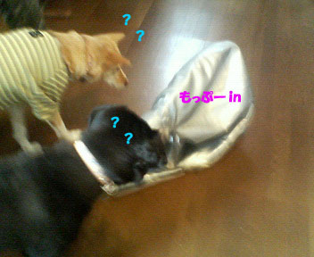 f0077097_23353190.jpg