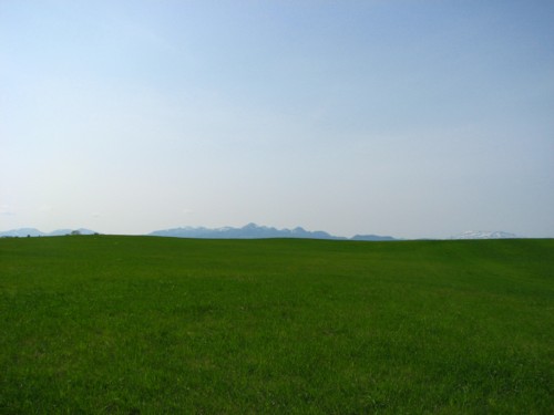 f0020302_12202757.jpg