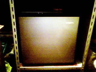 b0019309_23581982.jpg