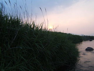 f0079411_2345258.jpg