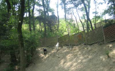 e0059512_14444381.jpg