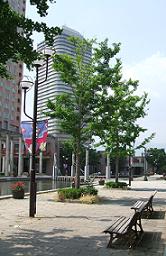 e0064631_2385264.jpg