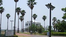 e0064631_8274114.jpg